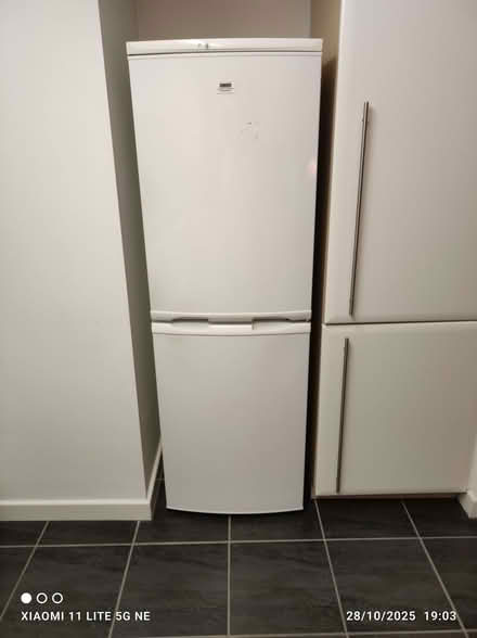 Photo of free Zanussi fridge freezer (Dingle L8) #2