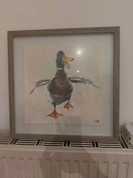 Photo of free Duck Photo Frame (Corringham SS17) #1