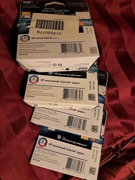 Photo of free Youes for the taking (Beverly Hills) #2