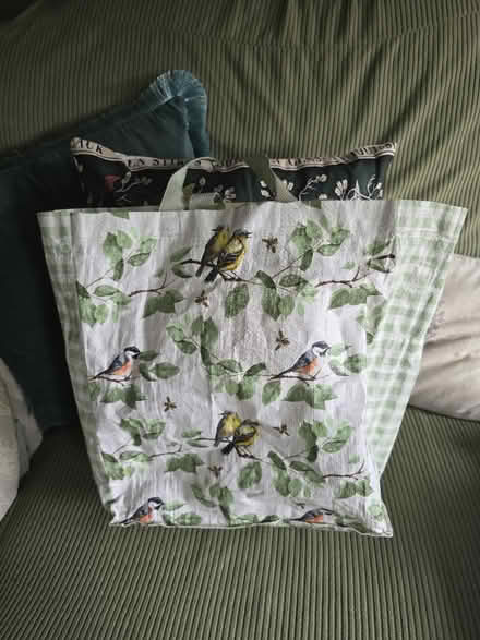 Photo of free Bag for Life Project (Sandy SG19) #1