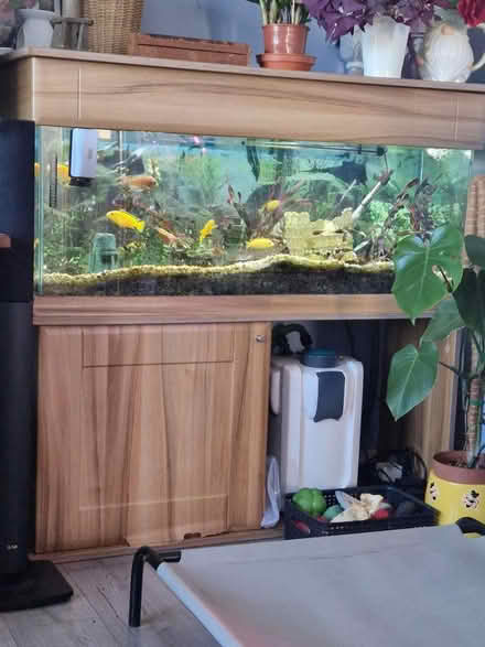 Photo of free Fish tank and stand 4ft long (BS39) #1