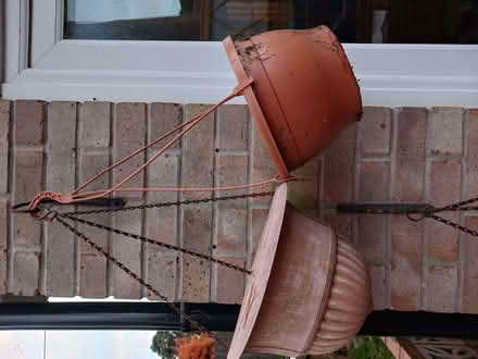 Photo of free Hanging baskets (Hanworth RG12) #2
