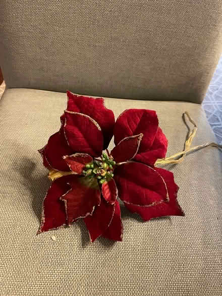 Photo of free Decorative material poinsettias (Park Slope) #2