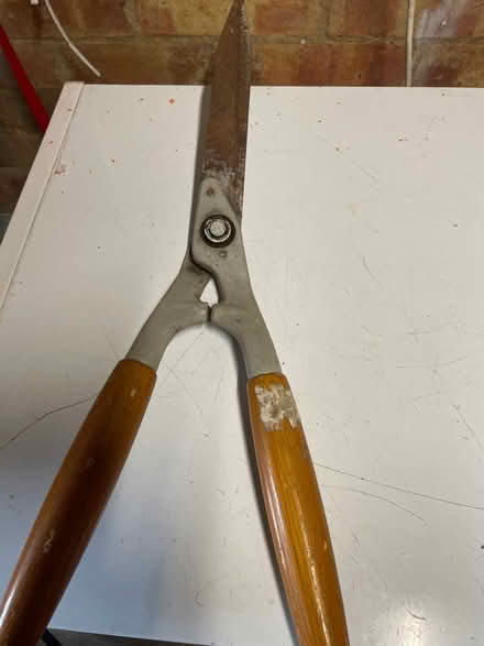 Photo of free Garden Shears (Chelmsford CM3) #1