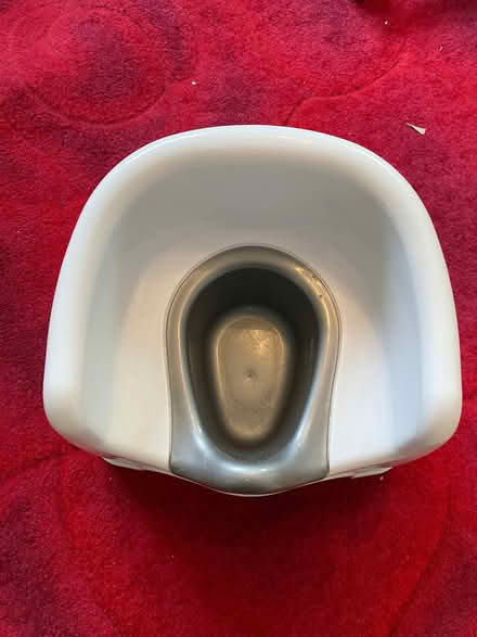 Photo of free Potty (Abingdon OX14) #2