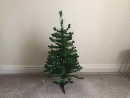 Photo of free Xmas tree (Trewoon PL25) #2