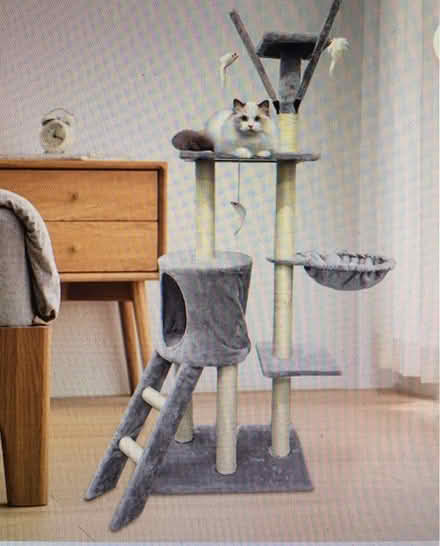 Photo of Cat Tree of Medium Height (Liverpool L6) #4