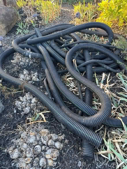Photo of free Lots of feet of flexible drain pipe (Martinez, near Ace Hardware) #1