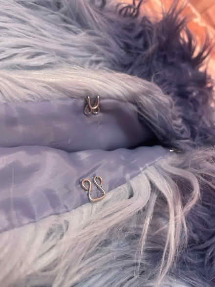 Photo of free Babe the Blue Ox Costume (Winter Hill) #3