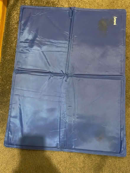 Photo of free Dog cool mat - for smaller dogs (Cogges OX28) #1