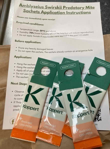 Photo of free Thrip prevention/treatment - predatory mites (organic) (Bilton CV22) #2