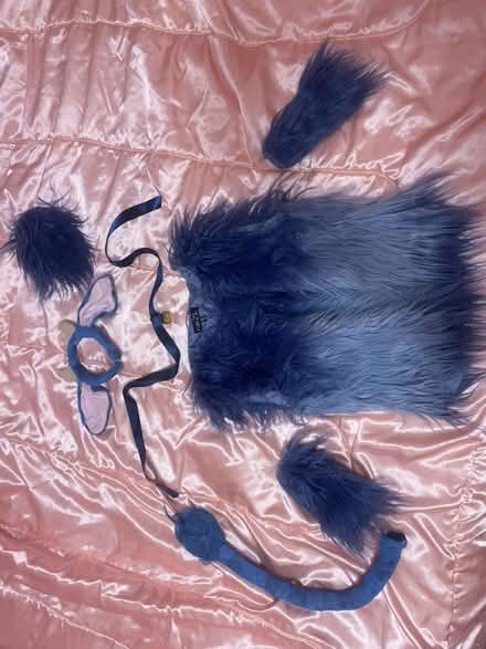 Photo of free Babe the Blue Ox Costume (Winter Hill) #1