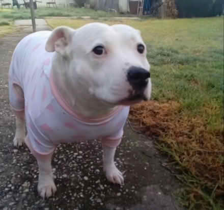 Photo of Any gym or exercise equipment (Lu1) #1