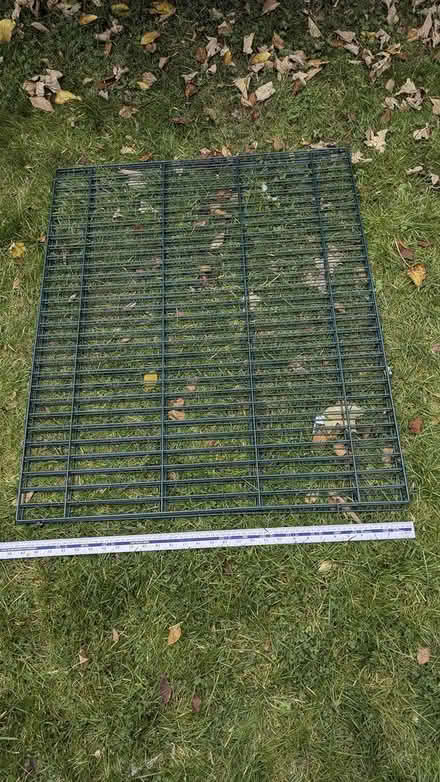 Photo of free 4 Wire panels 100cm x 75cm (Letchworth (SG6)) #4