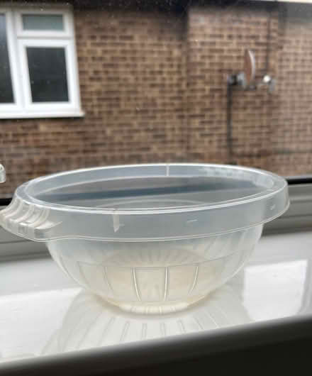Photo of free Plastic bowl and colander (Rayleigh SS6) #2