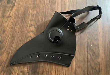 Photo of free plague doctor mask (Lawrence/ El Camino Real) #1