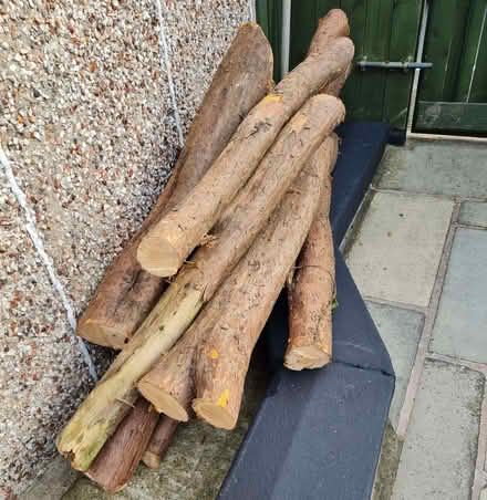 Photo of free Logs For Log Burners (Denaby Main DN12) #1