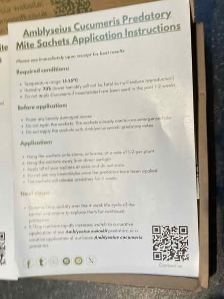 Photo of free Thrip prevention/treatment - predatory mites (organic) (Bilton CV22) #4