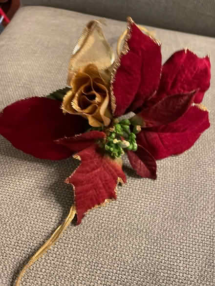 Photo of free Decorative material poinsettias (Park Slope) #3