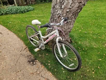 Photo of free Kids bike (Sevenoaks TN13) #3