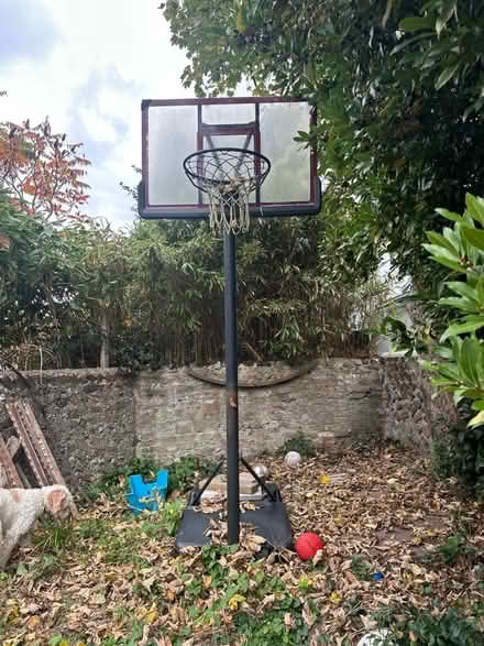 Photo of free Basket ball hoop can be raised and lowered (Fiveways BN1) #1