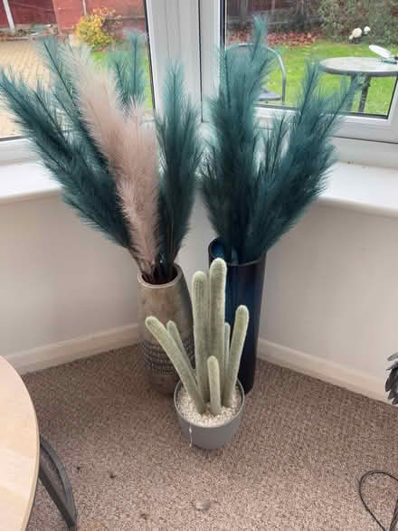 Photo of free Household decorations (Stanford-Le-Hope SS17) #1