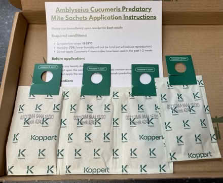 Photo of free Thrip prevention/treatment - predatory mites (organic) (Bilton CV22) #1