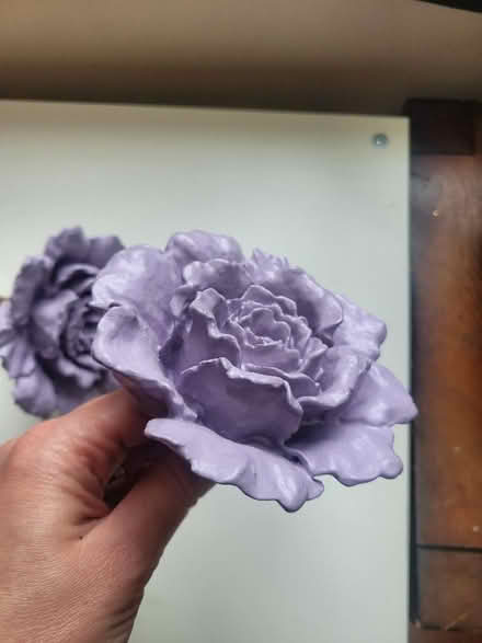 Photo of free Curtain holdbacks (Lower Walkley S6) #1