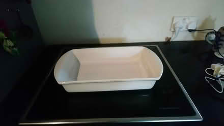 Photo of free Roasting dish (Tyberton, Madley, HR2) #1