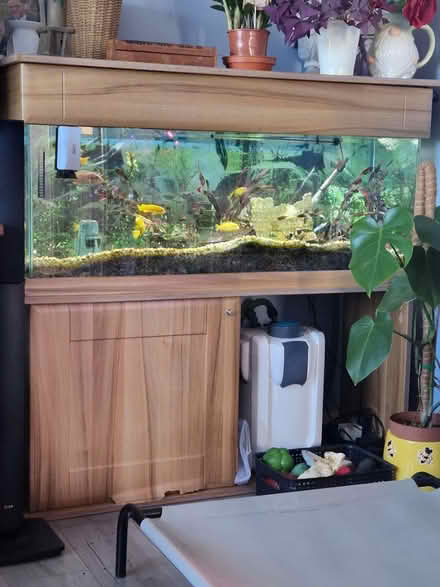 Photo of free Fish tank and stand 4ft long (BS39) #2