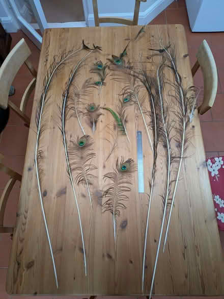 Photo of free Peacock feathers (Botley OX2) #2