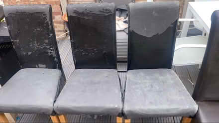 Photo of free 5 chairs (SG8) #2