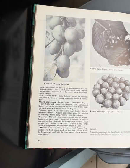 Photo of free Gardening Book (Westbury Wilts BA13) #3