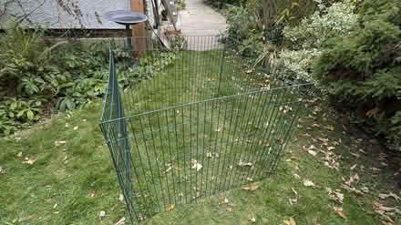 Photo of free 4 Wire panels 100cm x 75cm (Letchworth (SG6)) #2