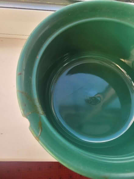 Photo of free Casserole pot (Lower Walkley S6) #2