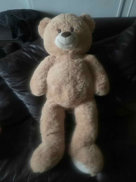 Photo of free Big teddy (Surrey quays) #1
