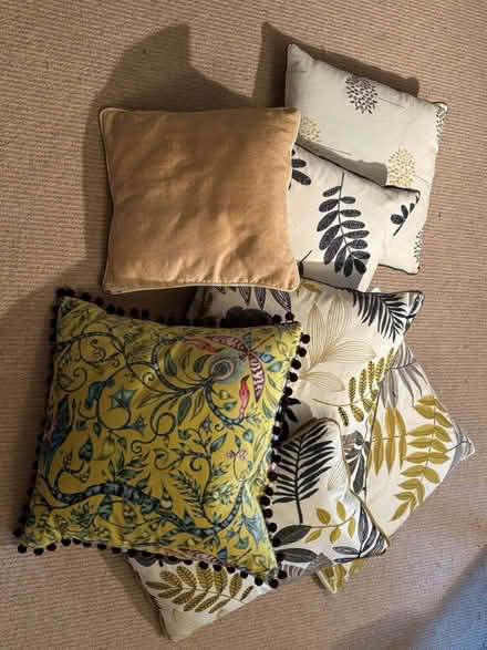 Photo of free Set of cushions (Heale TA10) #1