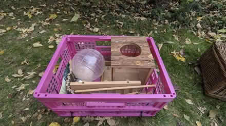 Photo of free Gerbil/Hamster Accessories (Letchworth (SG6)) #1