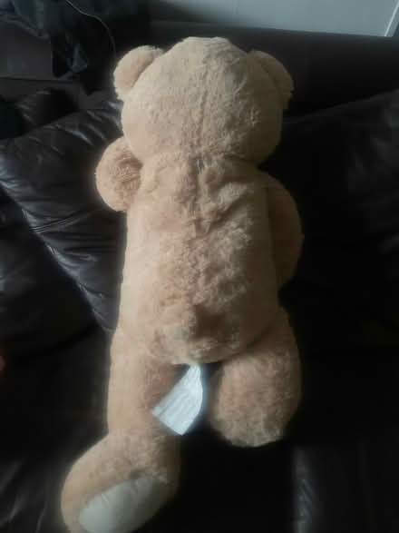 Photo of free Big teddy (Surrey quays) #2