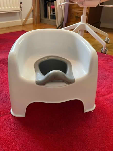 Photo of free Potty (Abingdon OX14) #1