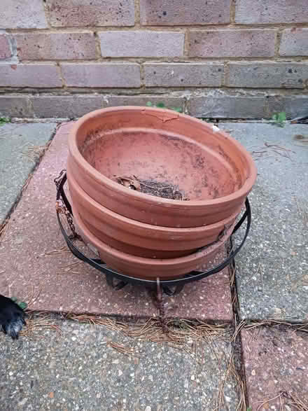 Photo of free Hanging baskets (Hanworth RG12) #1