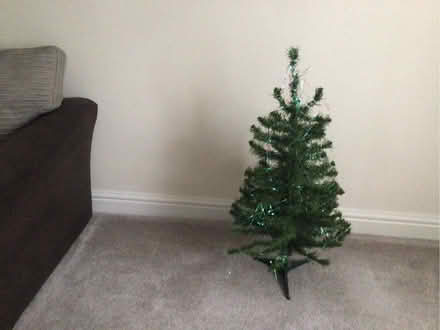Photo of free Xmas tree (Trewoon PL25) #1