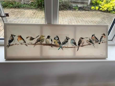 Photo of free Bird canvas (Corringham SS17) #1