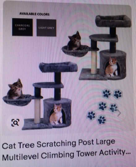 Photo of Cat Scratching Poles (Liverpool L6) #1