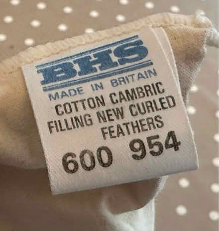 Photo of free Cushion insert (Twyford RG10) #2