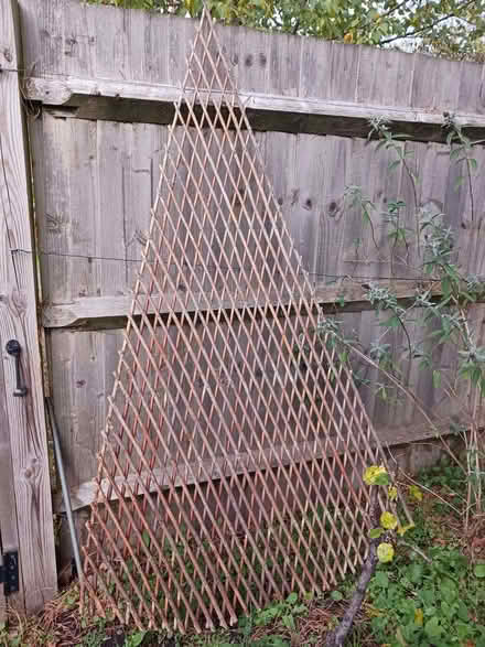Photo of free Garden trellis (Hanworth RG12) #1
