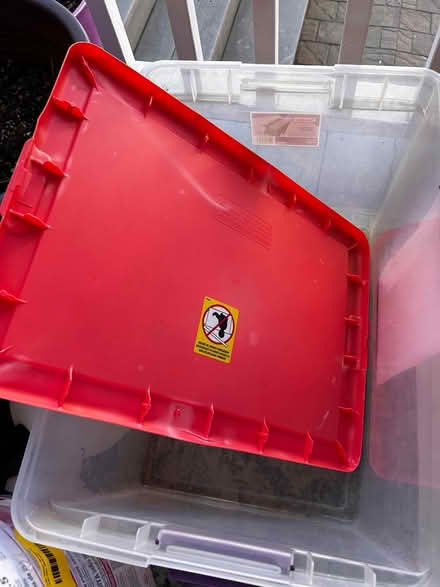 Photo of free Plastic Bin with mismatching lid (Downtown Sunnyvale) #1