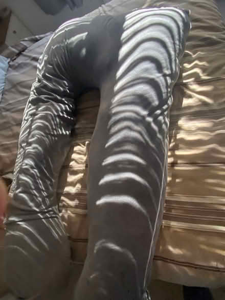Photo of free Queen Rose large body pillow (Colchester) #1