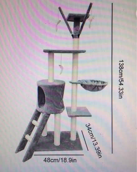 Photo of Cat Tree of Medium Height (Liverpool L6) #3