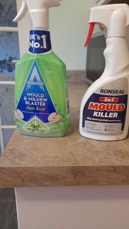 Photo of free Mould killer (Baldock SG7) #1
